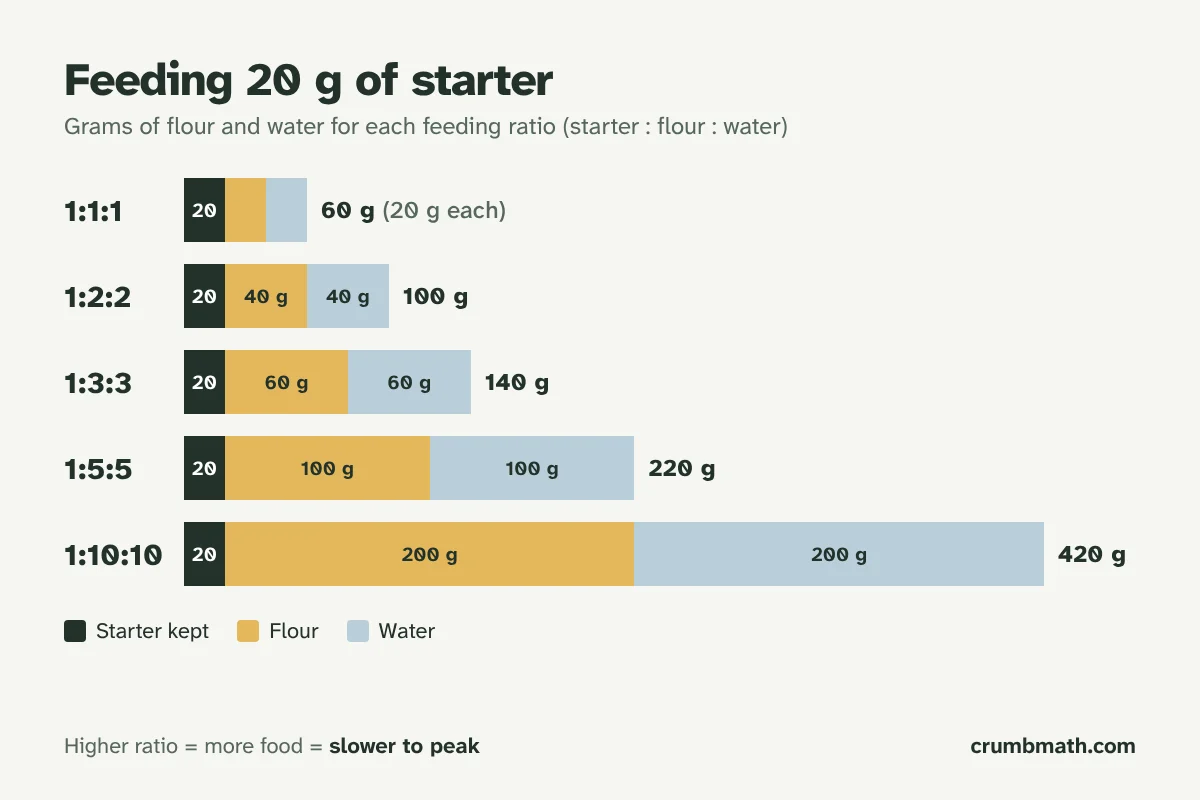 Chart comparing sourdough starter feeding ratios 1:1:1, 1:2:2, 1:3:3, 1:5:5 and 1:10:10, showing grams of starter, flour and water when feeding 20 g of starter